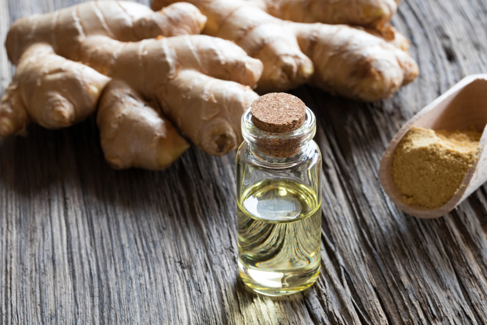 Ginger on a  wooden table with essential ginger oil 
