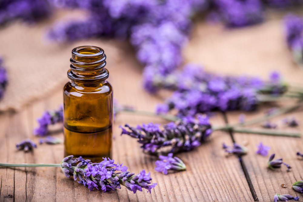 Lavender on a wooden table with essential oil