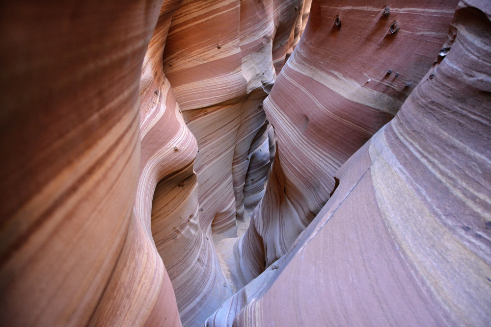 photo of little wild horse canyon one of the coolest slot canyons in Utah 