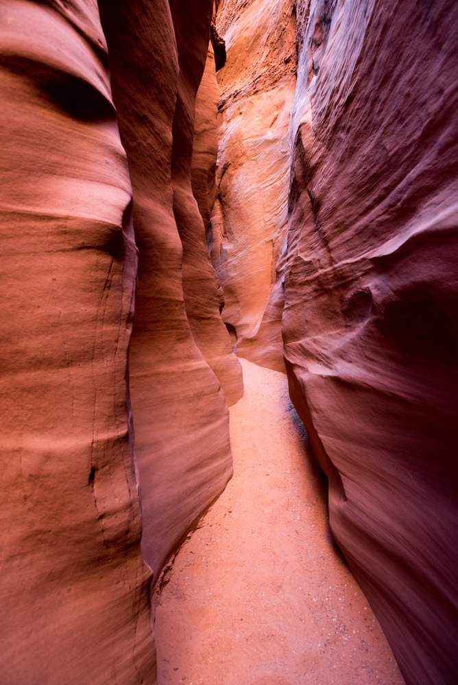 photo of Spooky Gulch one of the narrowest slot canyons in Utah 