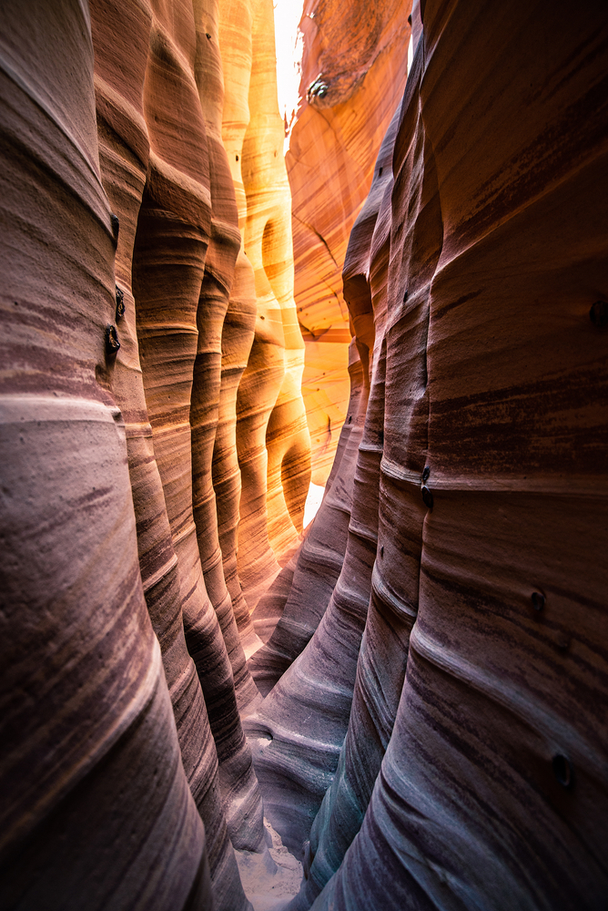 photo of Zebra Slot one of the coolest slot canyons in Utah 