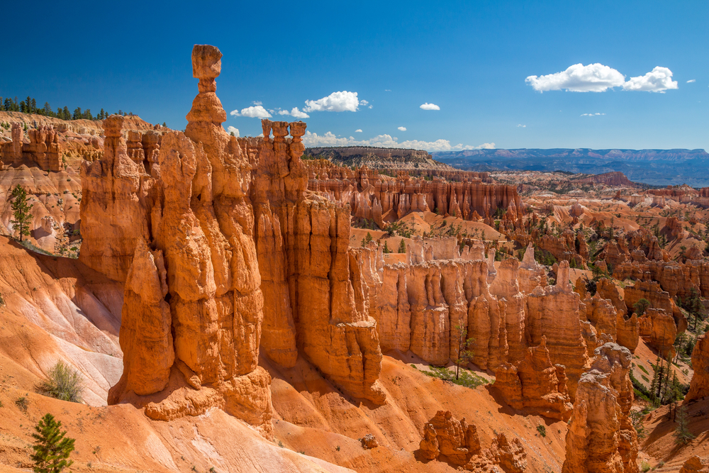 photo of Navajo Loop Trail one of the things to do in Bryce Canyon