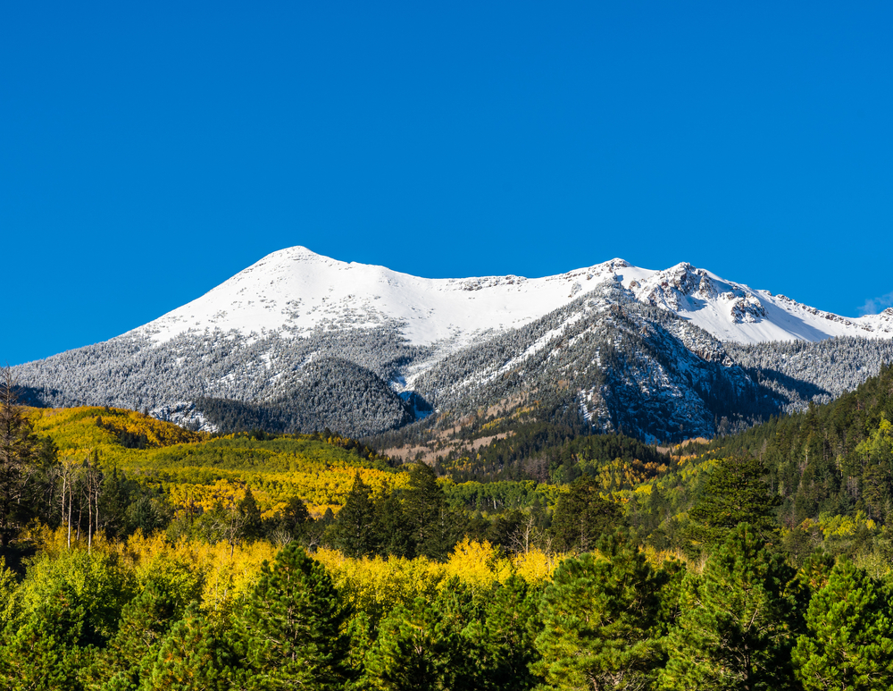 The San Francisco Peaks that you might hike while on vacation staying in Airbnbs in Flagstaff