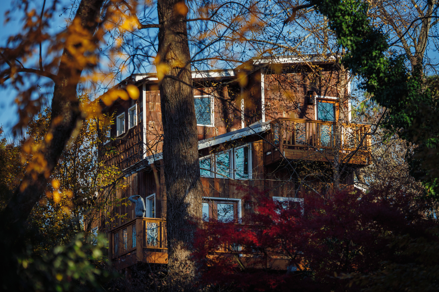 Photo of Archimedes’ Nest treehouse one of the best airbnbs in georgia