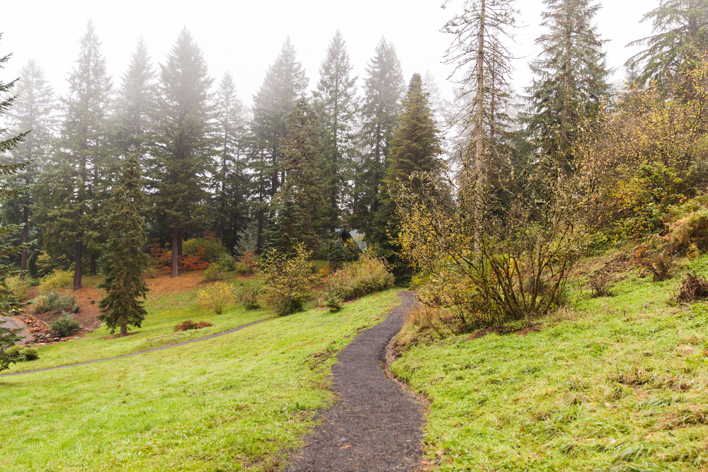 A path leading into the misty trees of the Hoyt Arboretum. Exploring this arboretum is one of the best things to do in Portland, Oregon