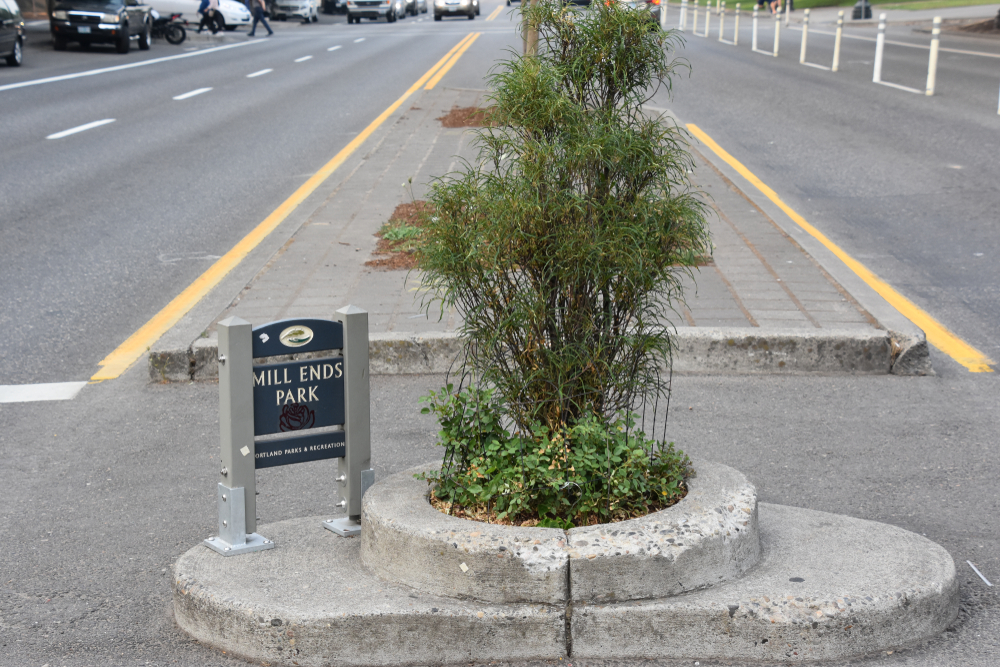 A photo of the smallest park in the world. It has one small tree in it and is about two feet by two feet. It has a small sign that says "Mill Ends Park"