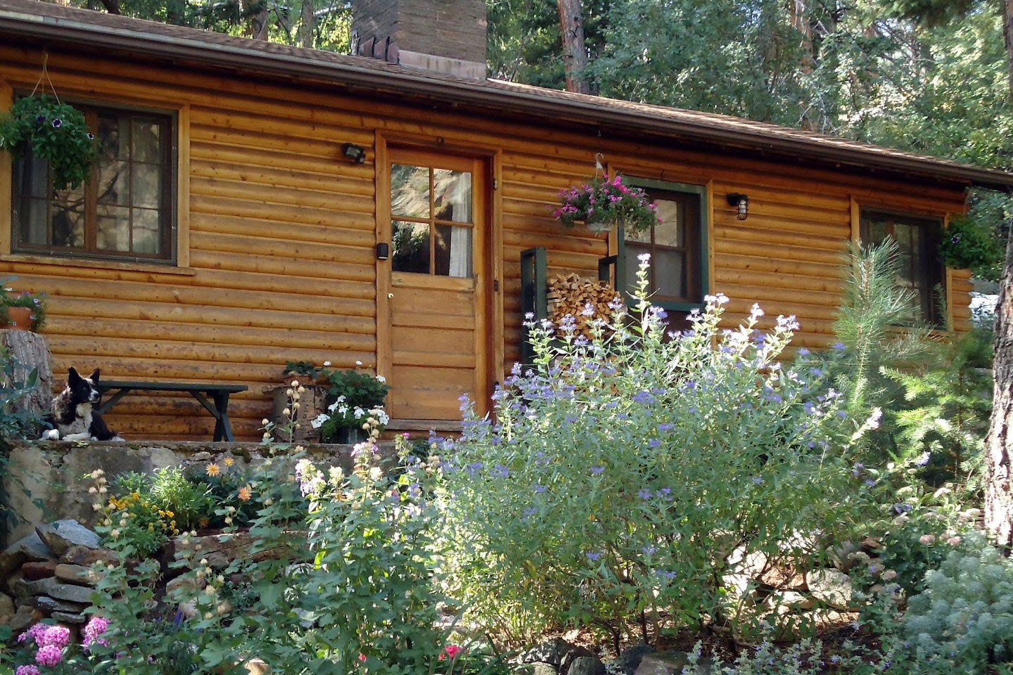 The Canyon Escape is one of the best Airbnbs in Boulder