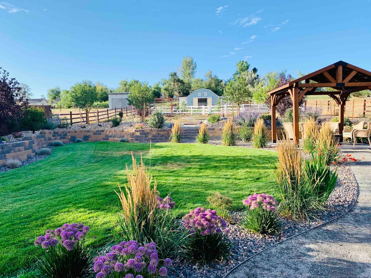 The Livestock Rescue Farm is one of the best Airbnbs in Boulder