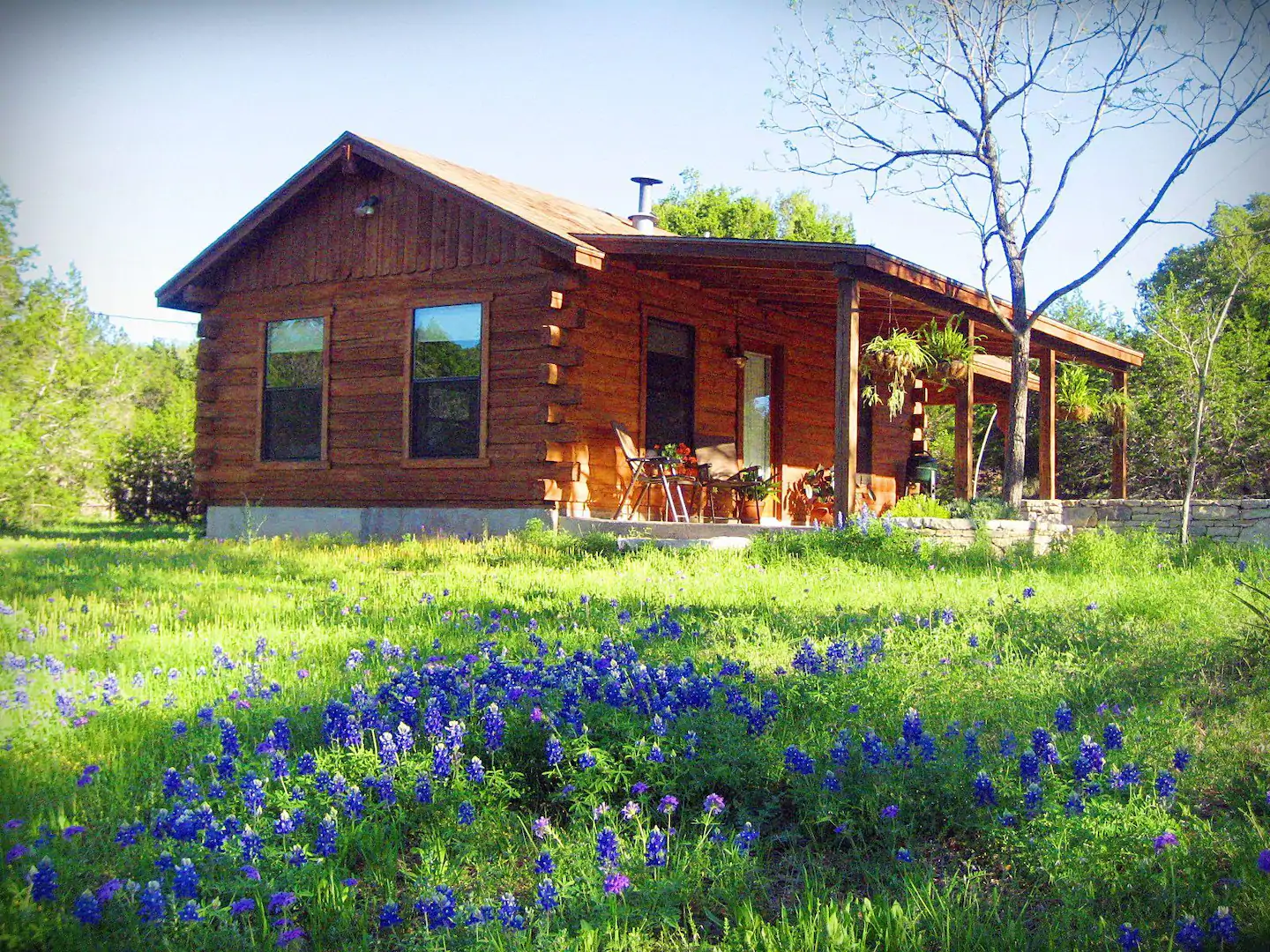 A beautiful Texas log cabin surrounded by green grass with purple flowers in the foreground.