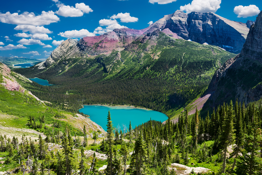 A valley filled with cobalt blue lakes surrounded by tall pines and large mountain peaks in Montana's Glacier National Park