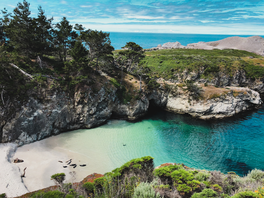 A secluded beach with crystal blue water on the Point Lobos Trail