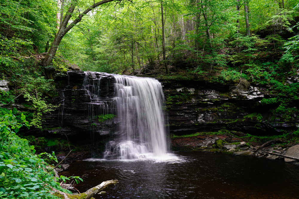 One of the many waterfalls surrounded by dense forest on the trail of Ricketts Glen one of the best hikes in the usa