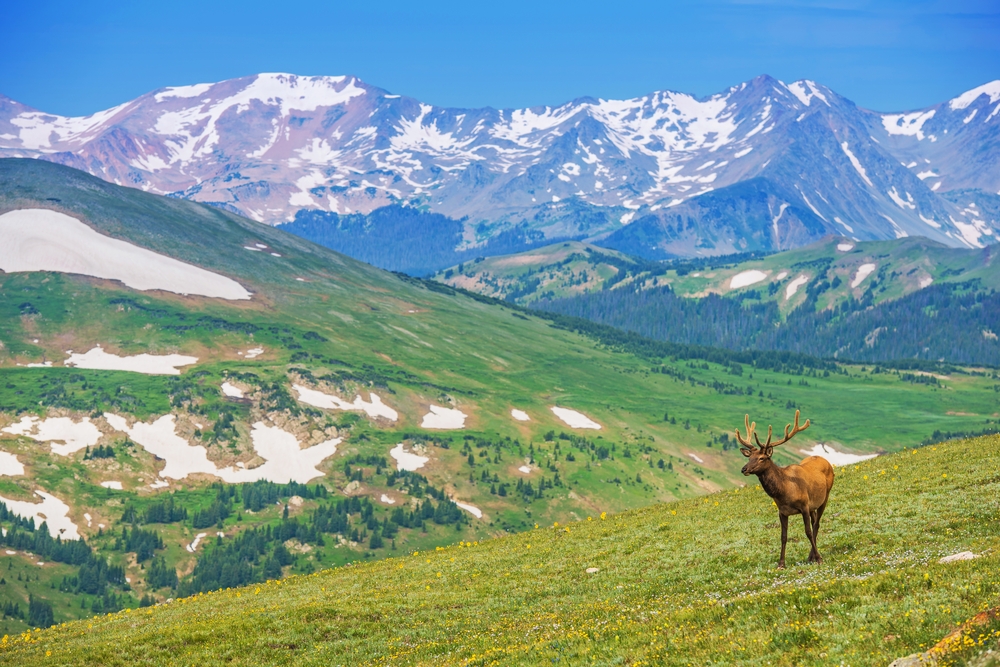 a photo of rocky mountain national park, one of the most fun things to do in estes park