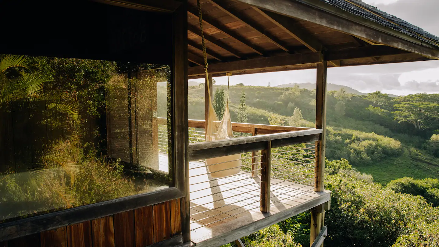 Treetop view in Airbnb in Kauai