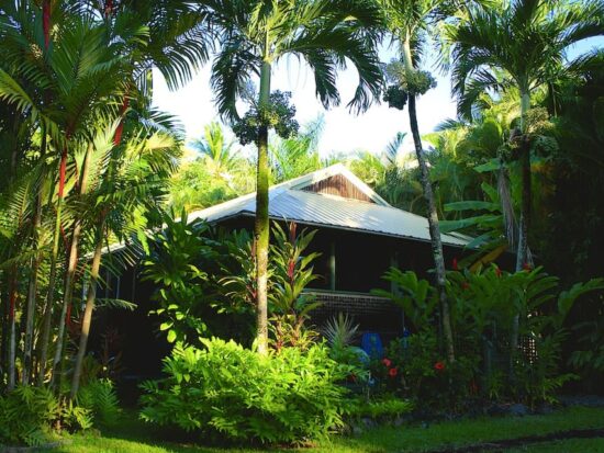 the Hana Ocean Palms Bungalow is one of the best Airbnbs in Maui