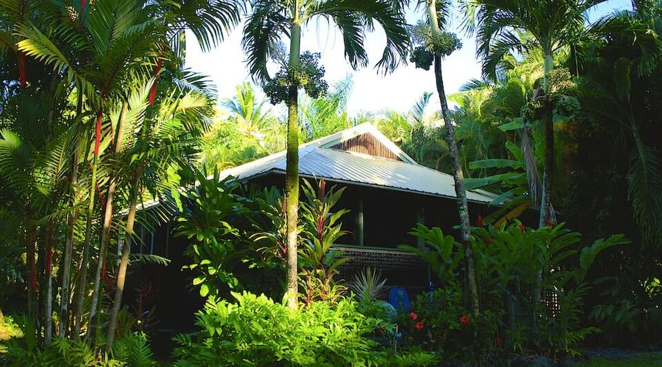 the Hana Ocean Palms Bungalow is one of the best Airbnbs in Maui