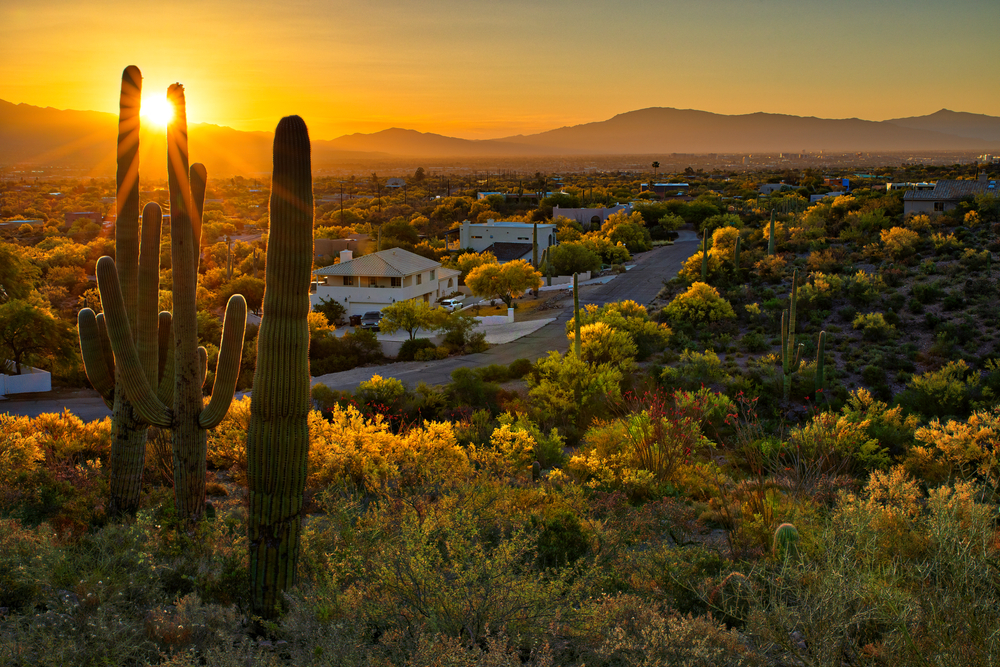 the views you can experience staying in the best Airbnbs in Tucson