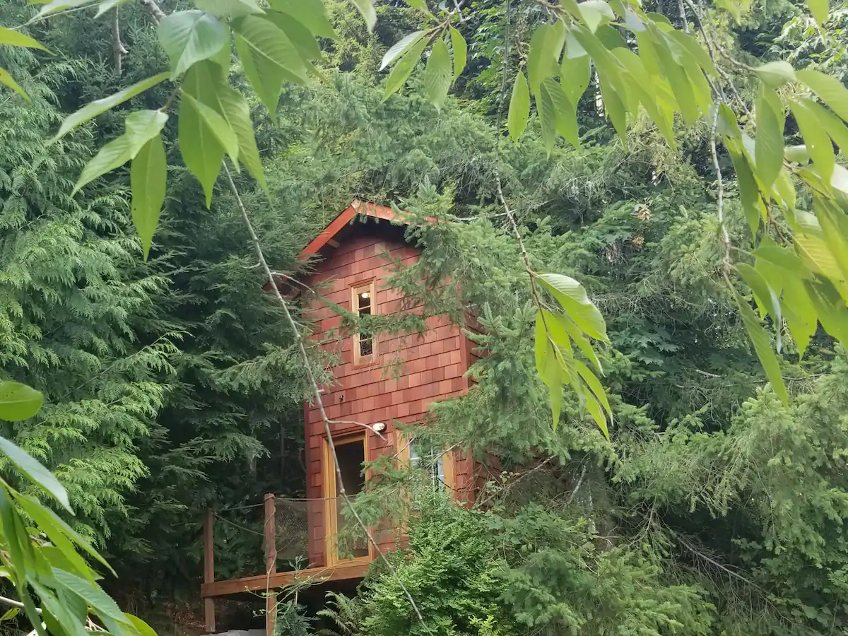 Photo of a cedar shingle two story treehouse up high in some evergreen trees. 