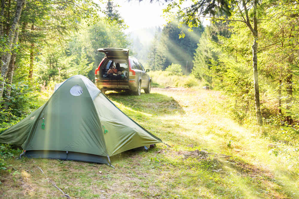 photo of a campsite in a field 