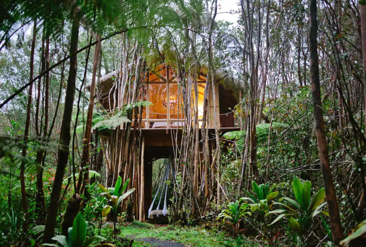 The exterior view of a treehouse in the jungle with large windows and a suspended bed on the ground floor best airbnbs in hawaii