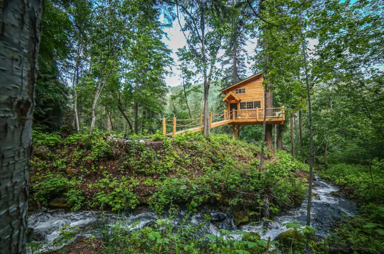 A large treehouse surrounded by tall green trees on the bank of a small creek in Washington