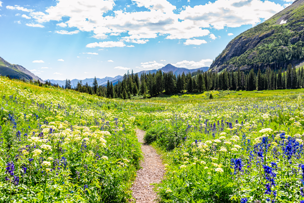 The best destination for electric blue lakes and colorful valleys, the Ice Lake Trail has the best variety any hike in Colorado 