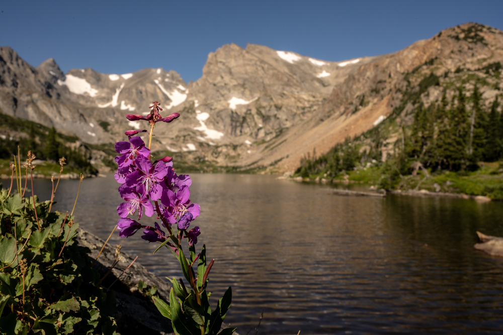 Lake Isabelle is one of the most stimulating intermediate hikes in Colorado's Indian Peaks wilderness.