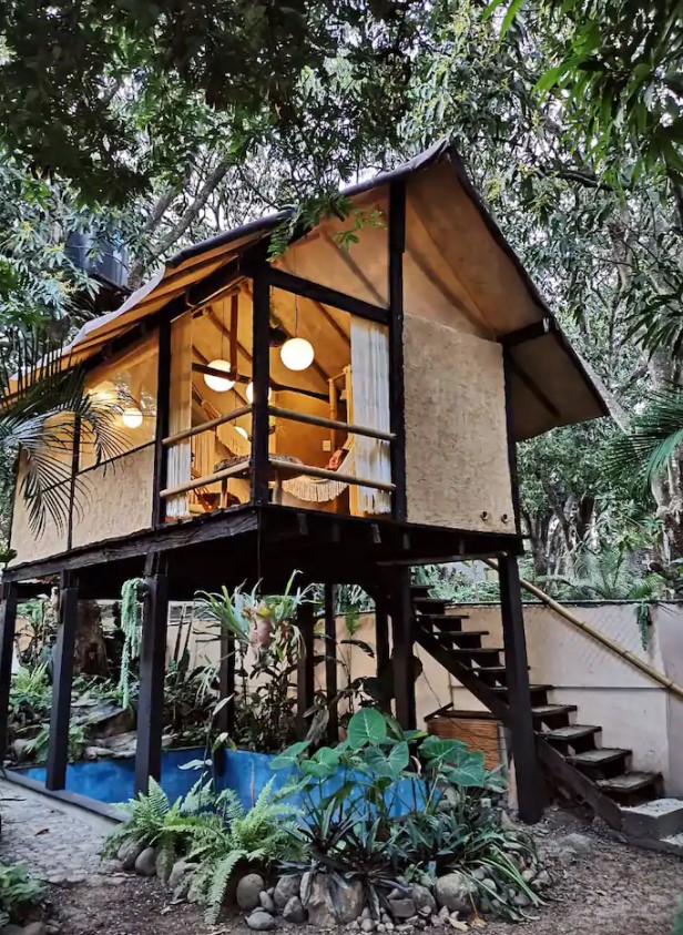 The exterior of an elevated tiny home with a small private pool surrounded by plants under it