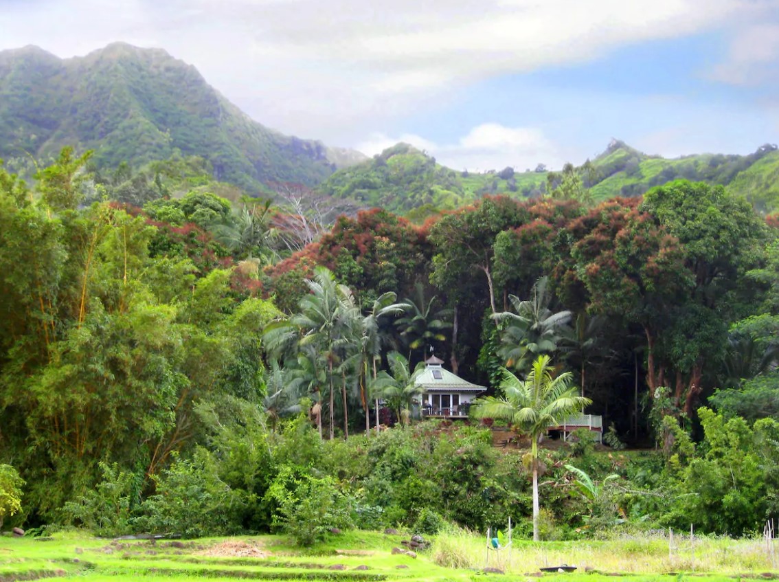 The view of a cottage surrounded by tropical jungle with a mountain in the distance one of the best airbnbs in Hawaii