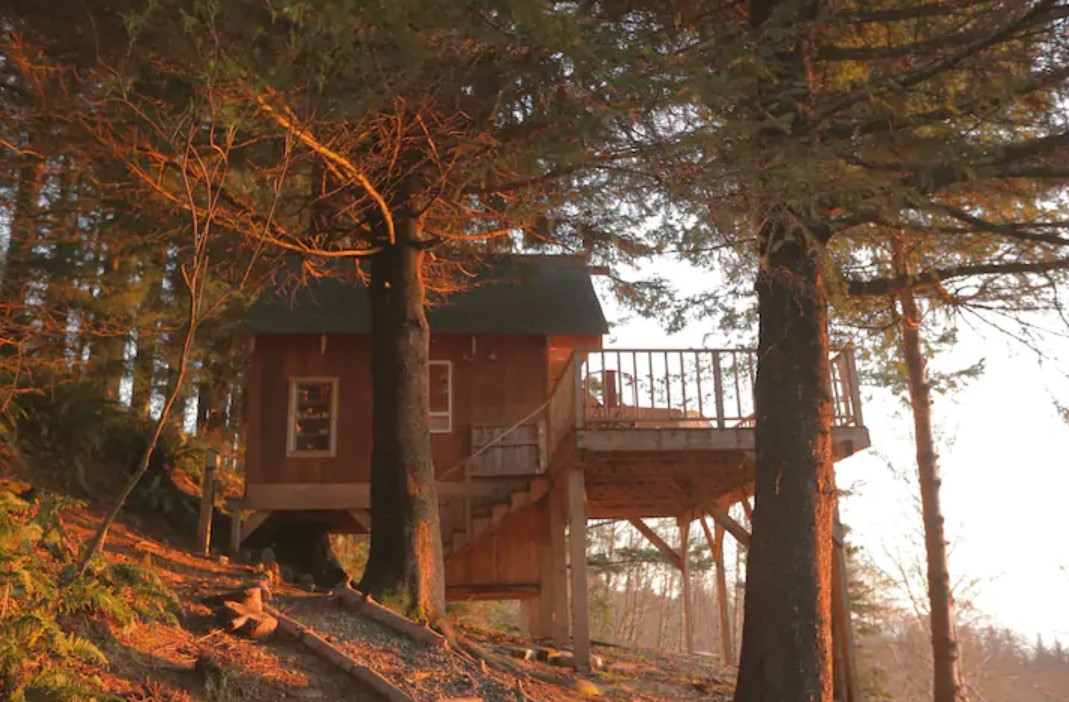 A treehouse perched on the cliff that over looks the pacific ocean on the Oregon Coast at sunset