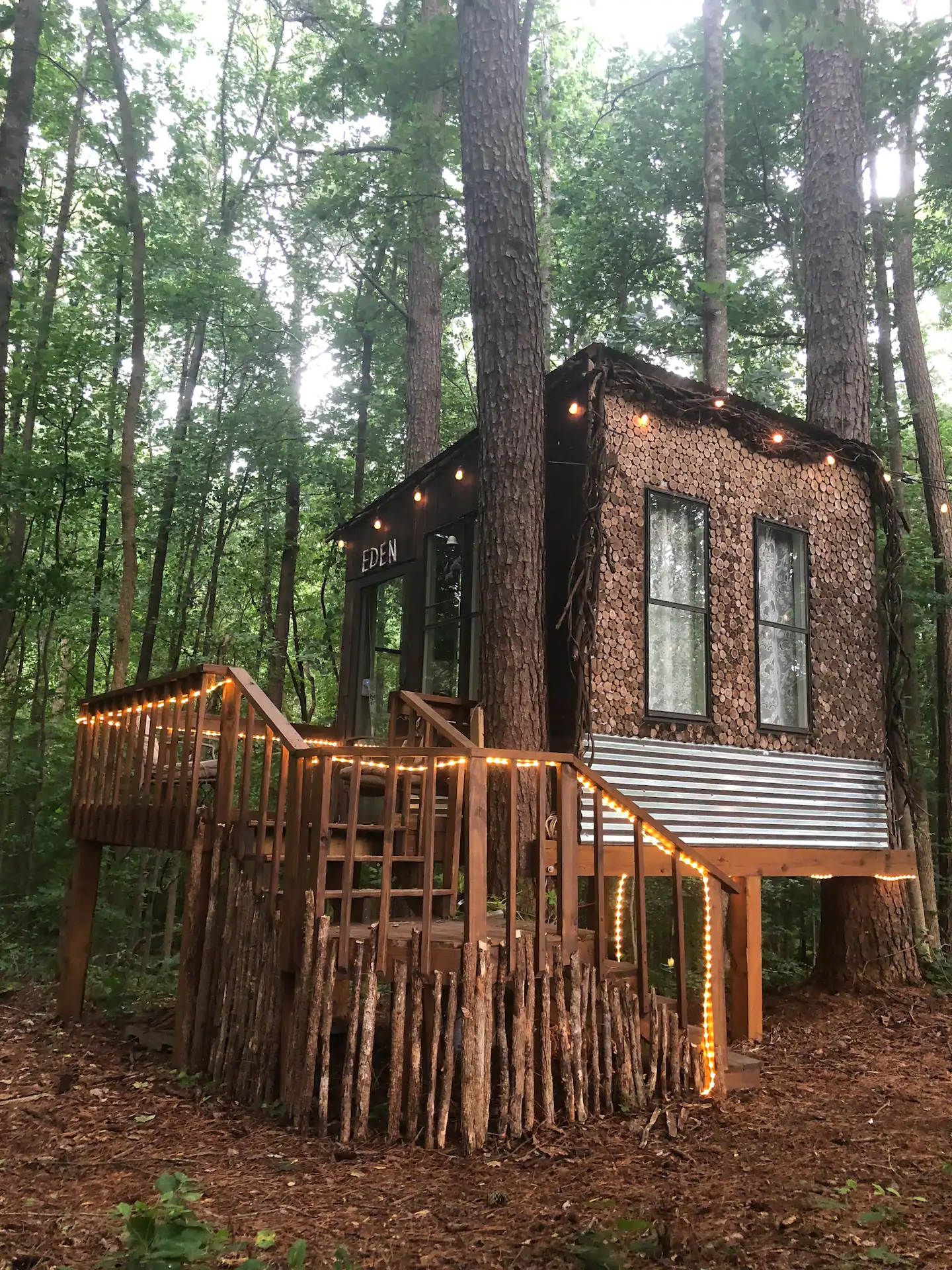 Treehouse in Georgia