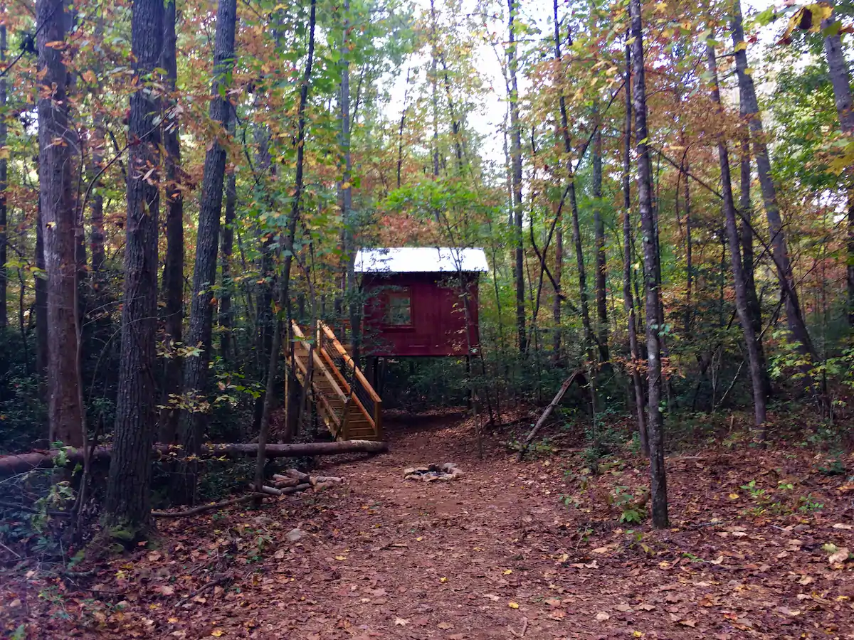 tiny house in the woods