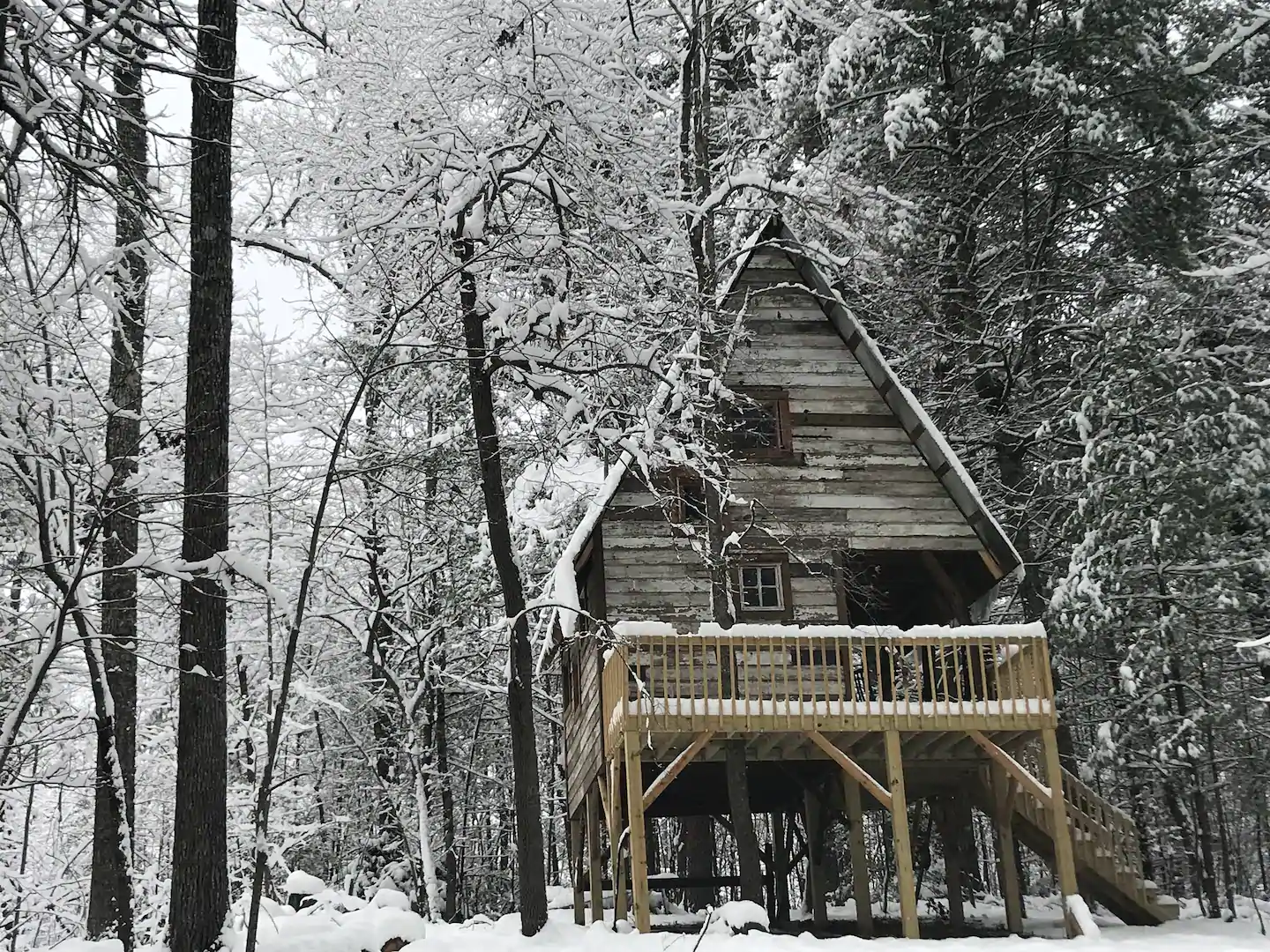 snowy treehouse in Georgia 