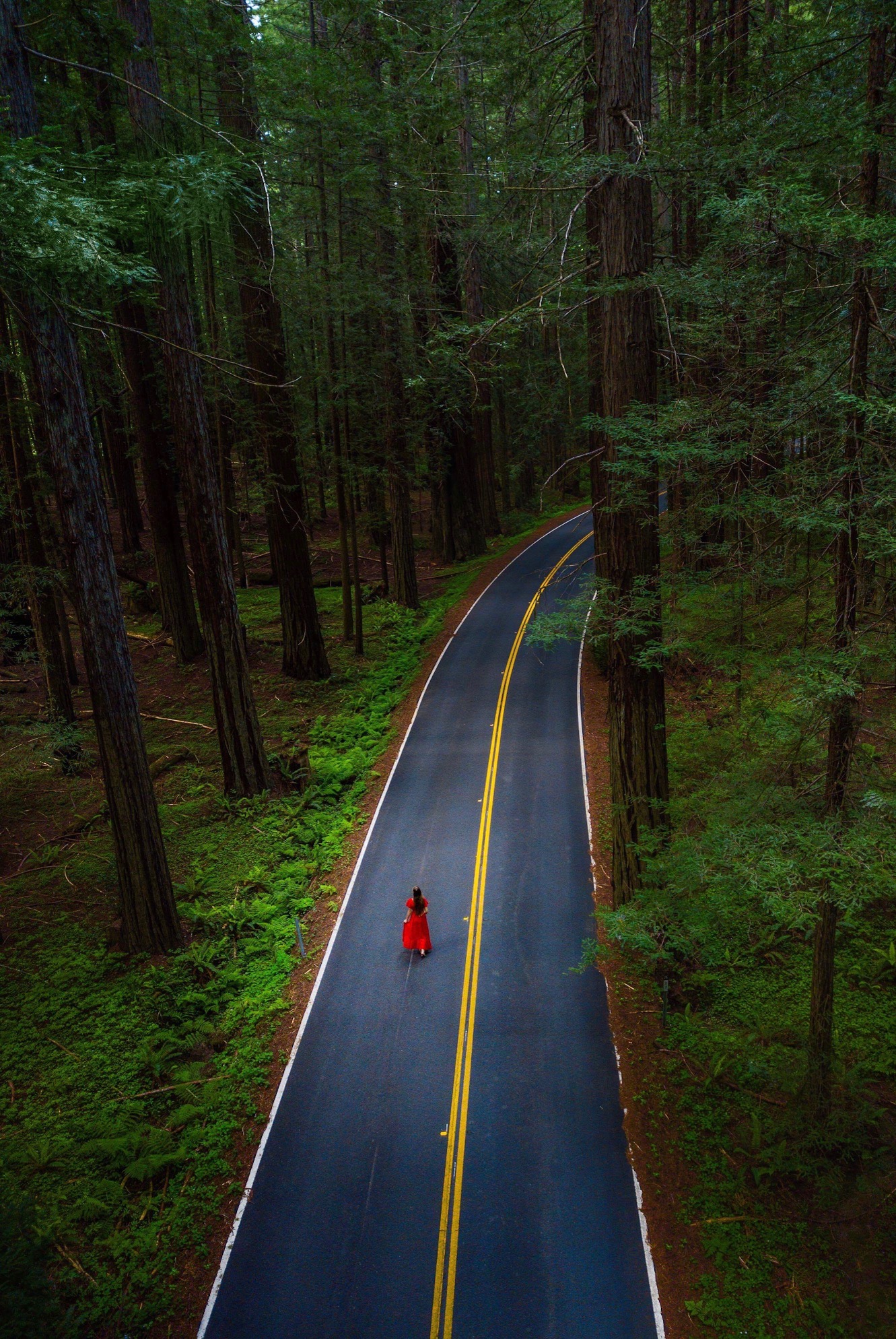 woman walking on road between trees