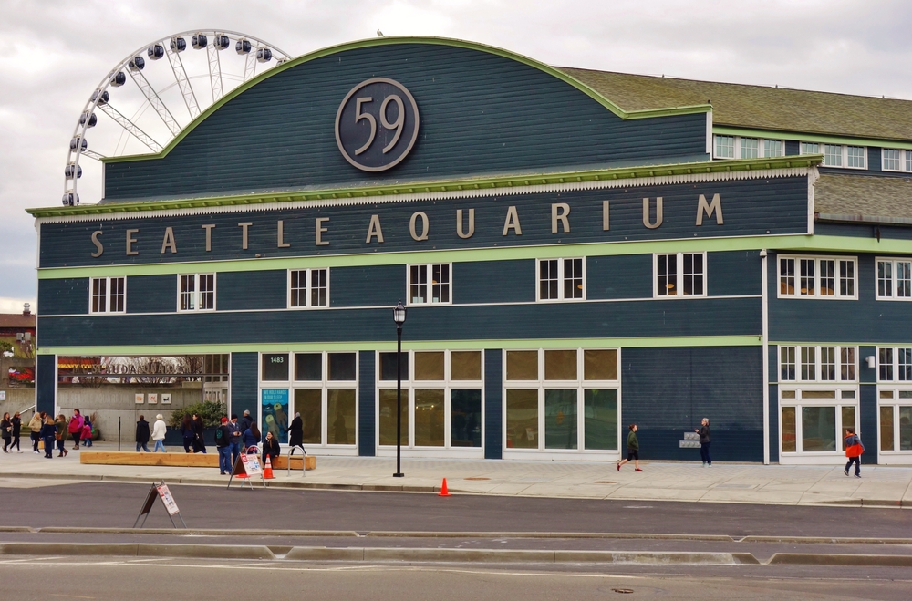 seattle aquarium