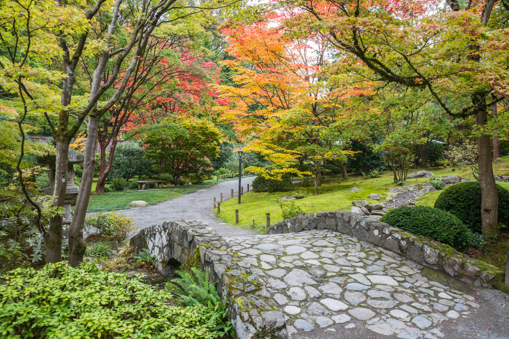 seattle fall foliage