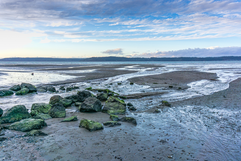 dash point seattle