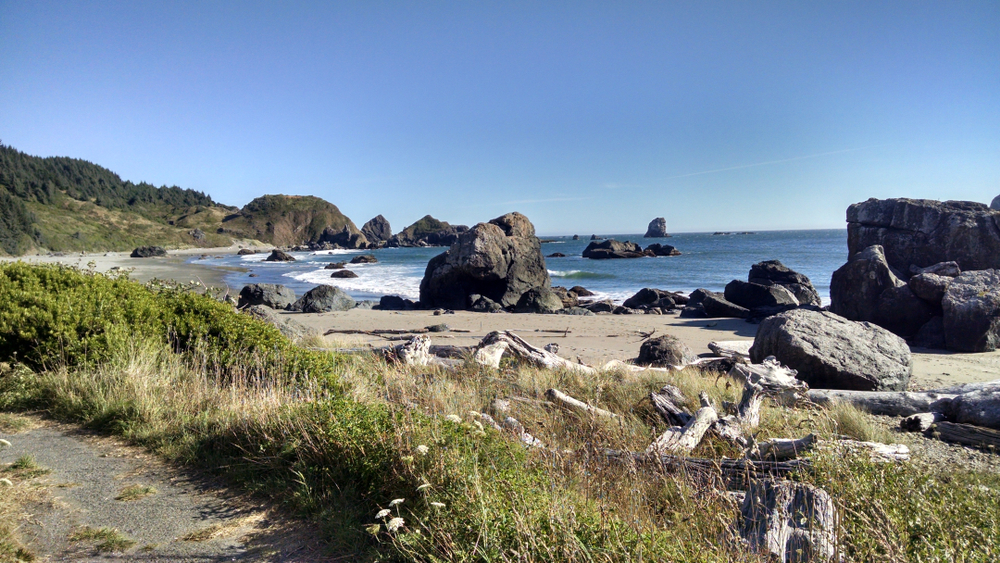 A beach in Samuel H Boardman