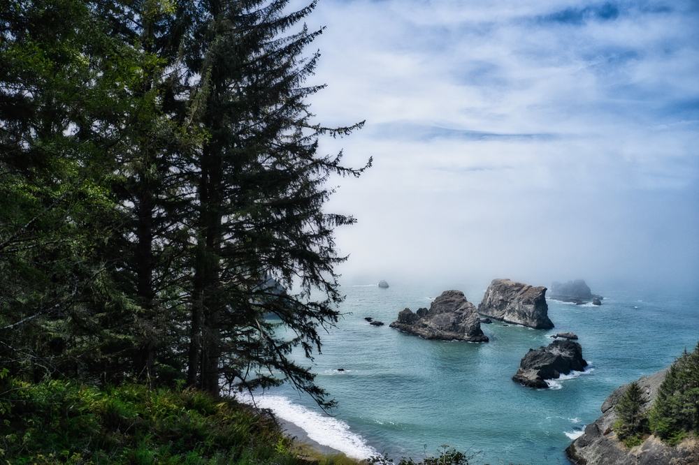 Samuel H Boardman State Park Corridor