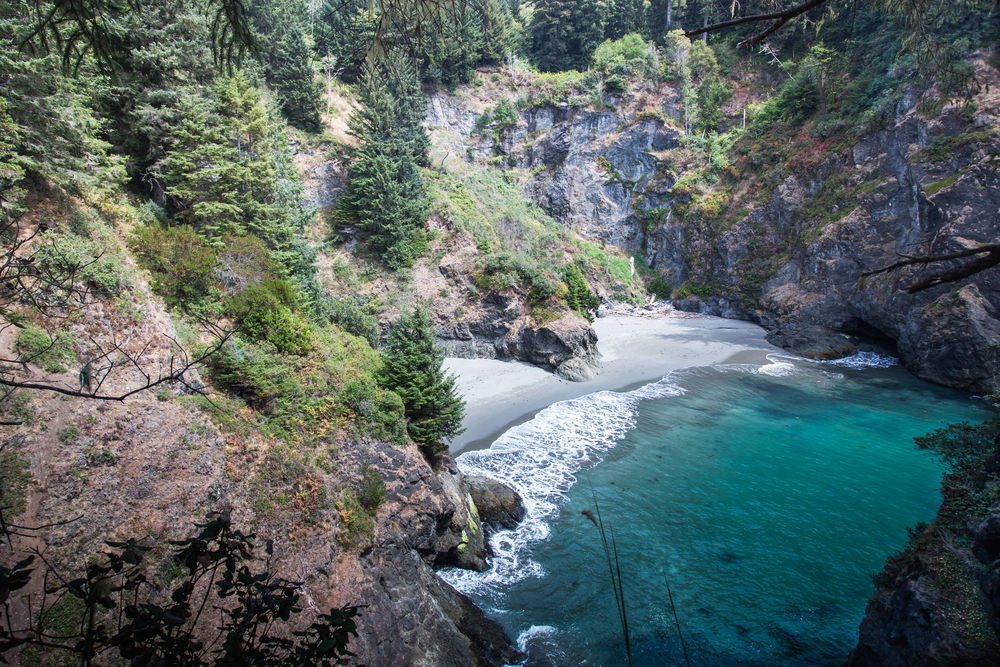 View of the super blue waters of Secret Beach, one of the best hikes in Oregon. The beach is tucked into a rocky cove and surrounded by evergreen trees. It has light colored sand and calm water.