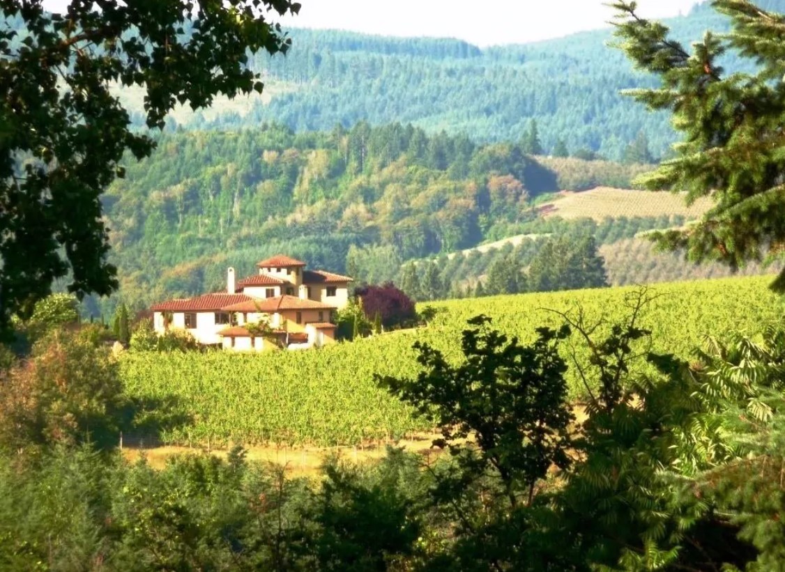 A Tuscan style estate in the hills on a sunny day