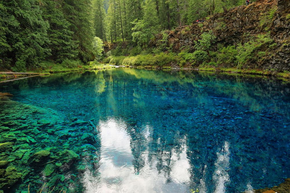 Photo of the unbelievably blue and clear water of the Tamolitch Blue Pool in Oregon. The pool is surrounded by lush green forest.