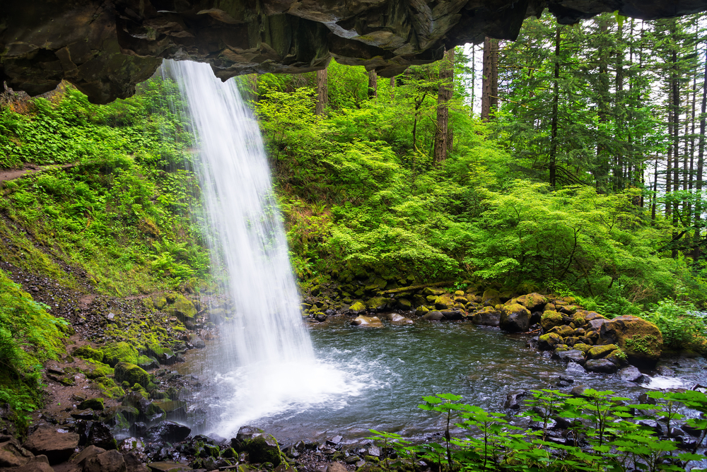 Photo taken from behind Horsetail Falls. A stream of water crashes into a small pool surrounded by lush greenery. 