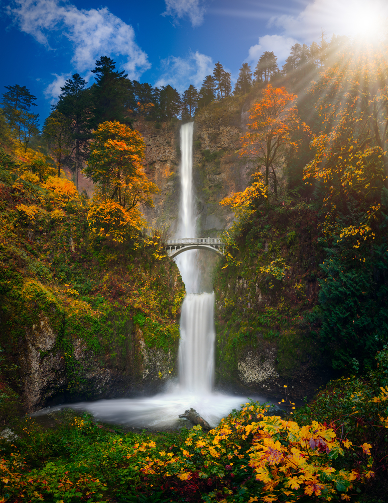 Sunny day at Multnomah Falls with two levels and a bridge in between surrounded by fall foliage.