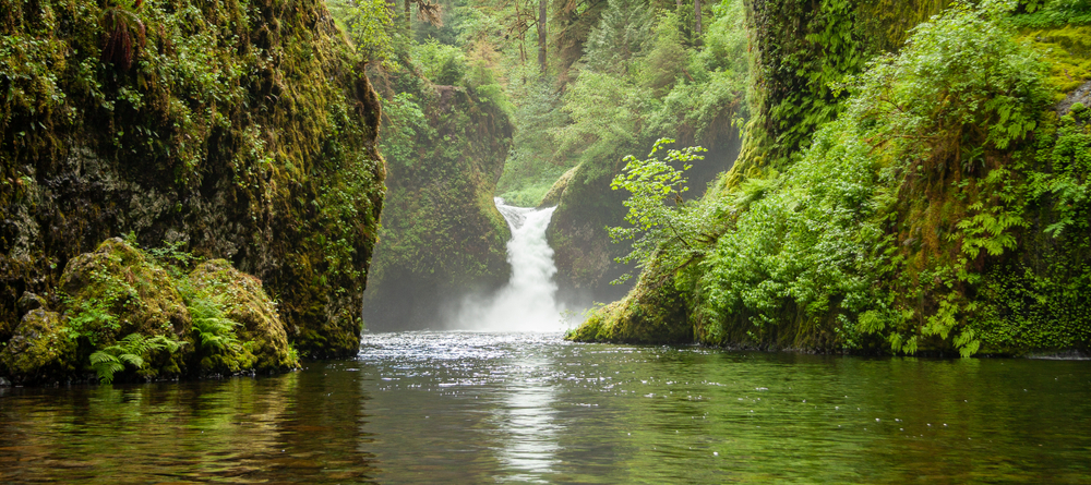 Photo of the mossy walled rocks surrounding Punchbowl Falls. Punchbowl Falls is part of the Eagle Creek to High Bridge hike, one of the best hikes in Oregon.
