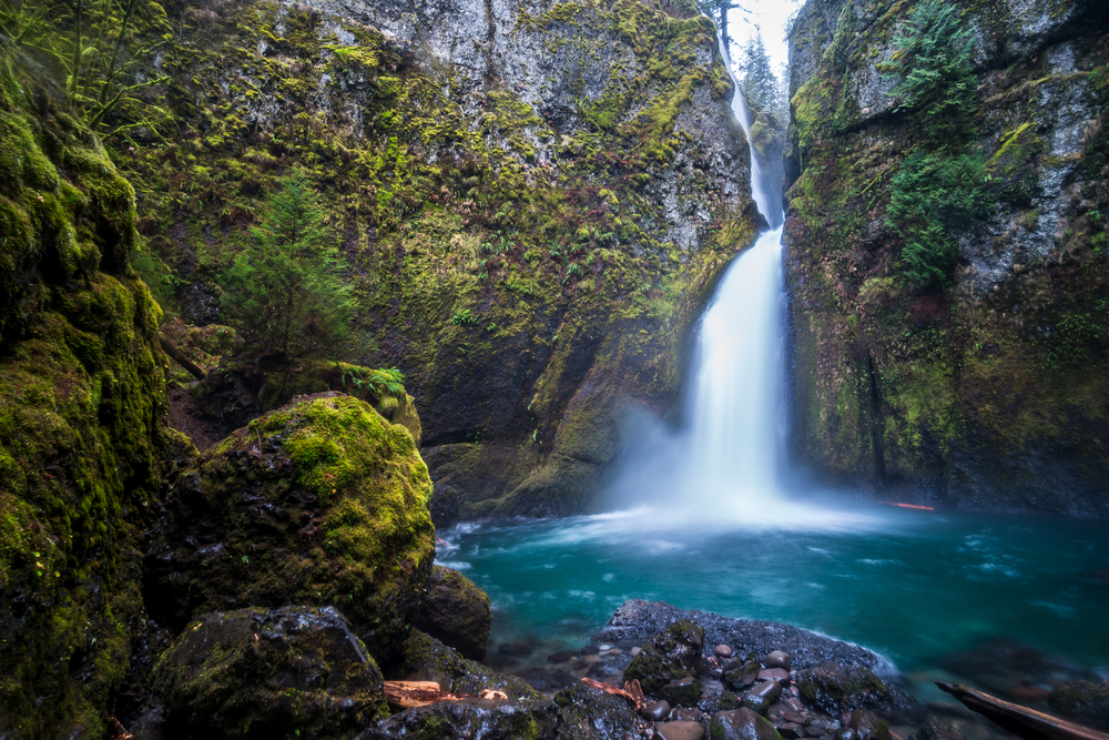 The view of Wahkeena falls from the blue pool at the bottom. The rock walls are covered in moss and ferns. This is one of the best hikes in Oregon. 