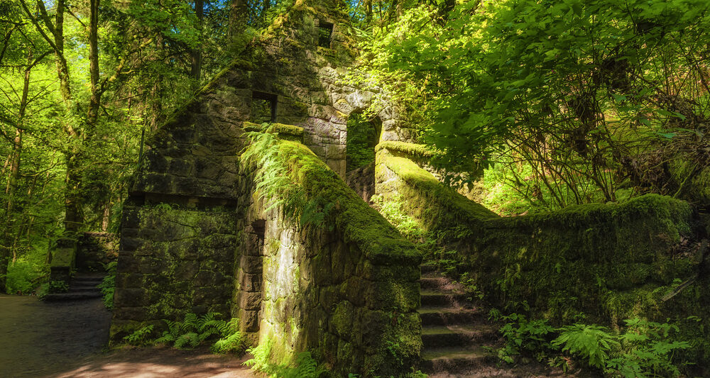 the witches castle in portland oregon covered by greenery