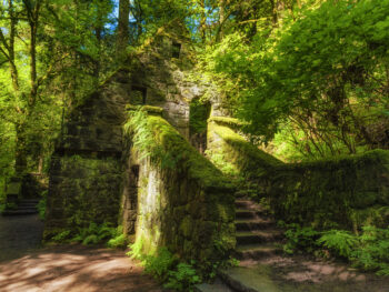 the witches castle in portland oregon covered by greenery