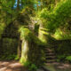 the witches castle in portland oregon covered by greenery