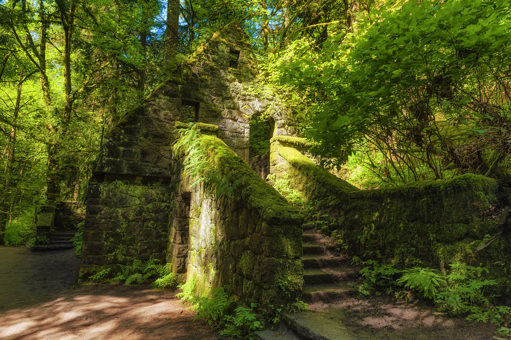 Photo of a moss and fern covered stone house in the forest. The beautiful structure is being reclaimed by nature and is known by locals as The Witches Castle. It is located in Forest Park, one of the best hikes in Oregon.